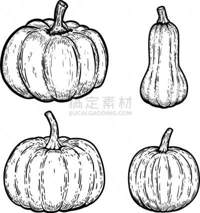 分离着色,南瓜,白色背景,白色,黄色,蔬菜,有机食品,自然,十月,布置