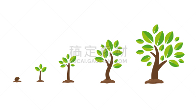 秧苗,矢量,巨大的,白色背景,种子,树,生长,种植