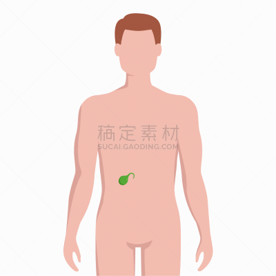 健康保健,男人,胆囊,扁平化设计,生物学,信息图表,人,剪影