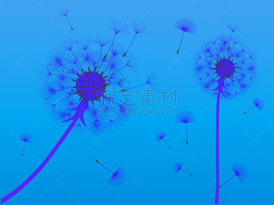抽象,背景,分离着色,白色,过敏反应,清新,花朵,设计,吹,装饰