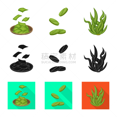 海洋,式样,计算机图标,蛋白质,蔬菜,素食,健康保健,食品,营养品,收集