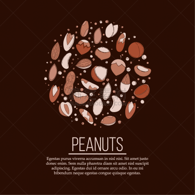 nuts card concept for design