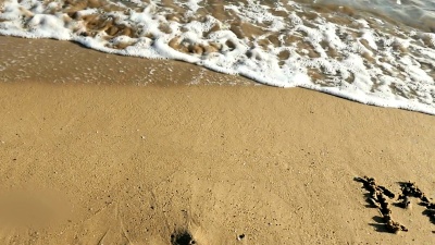 嫁给我！在海滩上