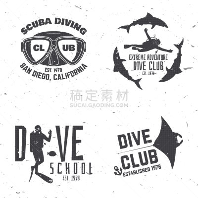 水肺潜水,华丽的,海洋,船,品牌名称,证章,矢量,海豹,度假
