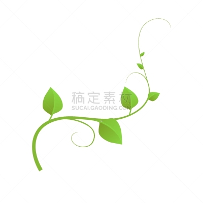白色背景,分离着色,藤蔓植物,绿色,夏天,漩涡形,式样,华丽的,高雅,生物学