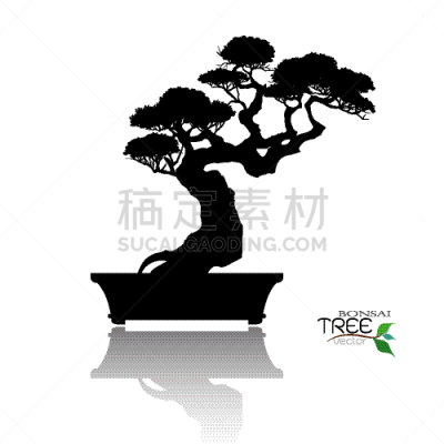 盆景,传统,景观设计,小的,自然美,阴影,植物,杜鹃花,洋葱花,剪影