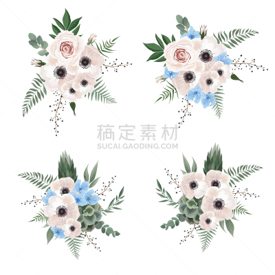 高雅,叶子,矢量,草本,设计师,天气,水彩画,可爱的,假叶树属,背景分离