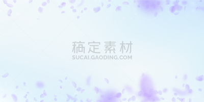 花瓣,奇异的,紫色,分离着色,白色,请柬,粉色,落下,庆祝,爱