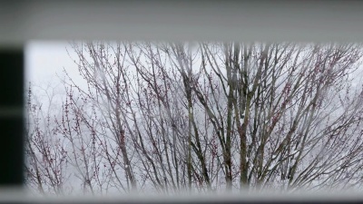 雪暴