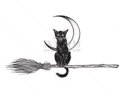 猫,黑色,扫帚,闪光灯照明,怪异,吉普赛人,塞伦,骑