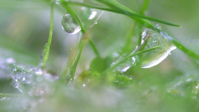 春天的空气使冰层变暖，融化了结霜的地面