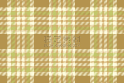 苏格兰,式样,格子花纹,40-80年代风格复兴,城市生活,热,外套,纺织品,女人,乡村风格