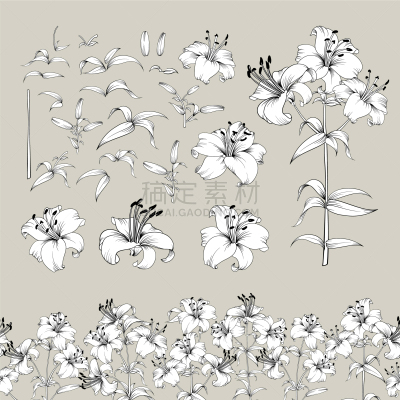 百合花,非凡的,化学元素周期表,华丽的,传统,植物群,婚礼,花,收集,布置