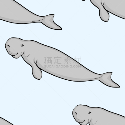 海洋生命,卡通,背景,白色,可爱的,分离着色,鸡尾酒,濒危物种,自然,野生动物