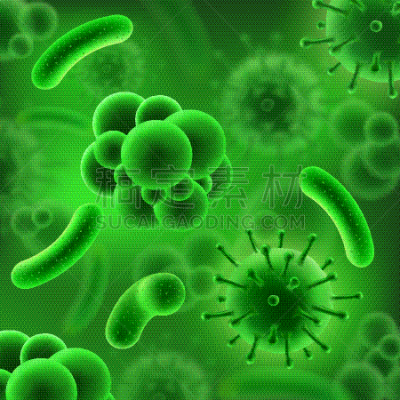 不卫生的,微生物,细菌,益生菌,抗体,生物学,微生物学,显微镜,有毒物质