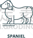 斯班尼犬,轮廓,线图标,直的,概念,可爱的,纯种犬,梗犬,狗,坐
