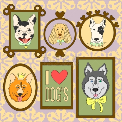 可爱的,狗,威尔士柯基犬,斗牛犬,舞台,分离着色,宠物,纯种犬,收集