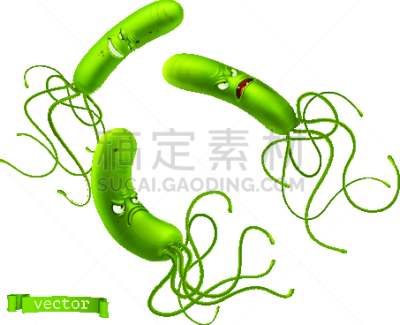 幽门螺旋杆菌,三维图形,卡通,乐趣,怪物,计算机图标,矢量,细菌,绿色,生物学