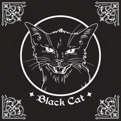 猫,化妆舞会服,巫术,黑色,动物头,宠物,夜晚,十月,怪异