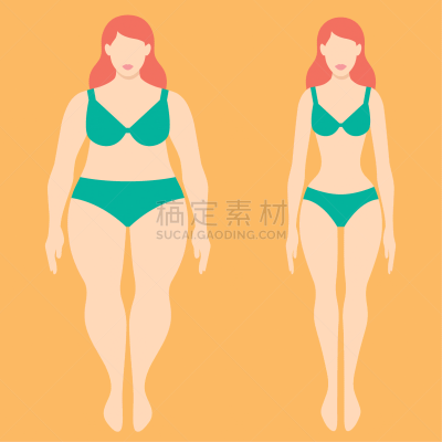 女人,苗条,肥胖,概念,修改系列,腰部,分离着色,人,比例