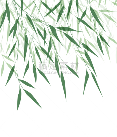 叶子,绿色,竹,华丽的,传统,清新,壁纸,模板,问候