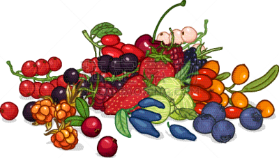 set cartoon berries
