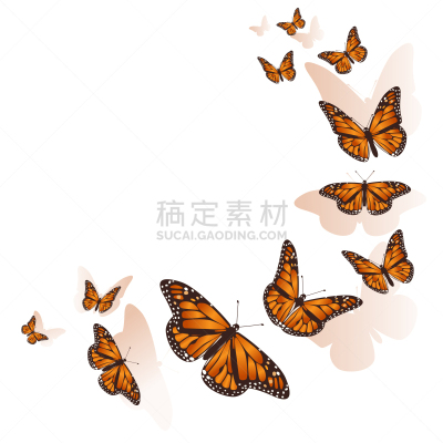 自然美,背景,蝴蝶,清新,翅膀,装饰物,节日,飞,聚集,问候