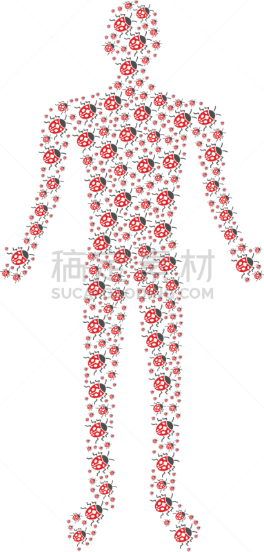 瓢虫,昆虫,人,男人,多样,图像,甲虫,性格,设计元素