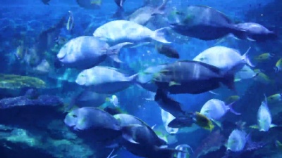 水下