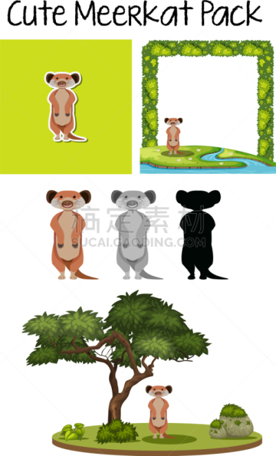 海岛猫鼬,兽群,可爱的,分离着色,自然,图像,模板,枝,艺术,收集