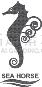 海马,分离着色,生物学,自然,海产,海洋,船,动物,装饰