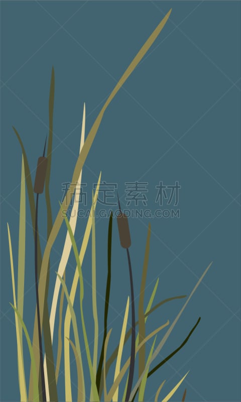 bush swamp reed on a lake