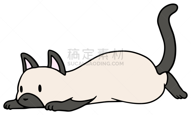 矢量,绘画插图,猫,惊骇,十二生肖,恐怖,简单,动物,宠物商店