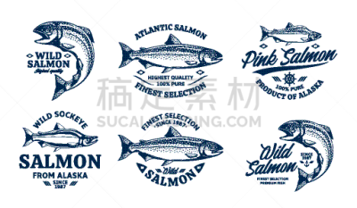 计算机图标,矢量,鱼类,三文鱼,绘画插图,寿司,渔业,食品,食品杂货,大西洋