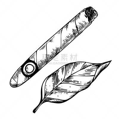 雪茄,雕刻图像,烟草,分离着色,白色,白色背景,图像,叶子,复古