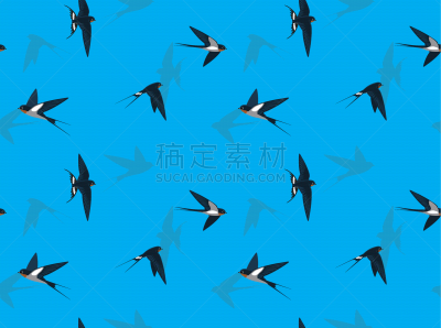 动物,背景,卡通,燕子,壁纸,二进制码,可爱的,野生动物,肖像,迅速