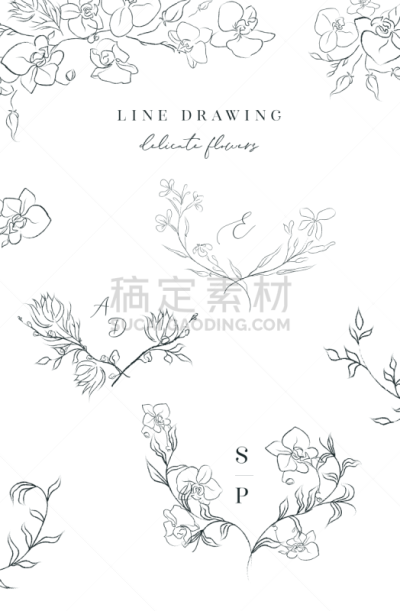 边框,线条画,脆弱,矢量,花环,华丽的,请柬,铅笔,简单,复古风格