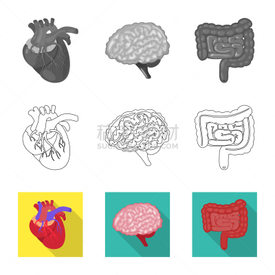 生物学,科学,分离着色,人造物,品牌名称,健康保健,植物群,主动脉,空肠,思考