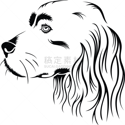 斯班尼犬,矢量,田地,可卡犬,肖像,图像,狗,工作