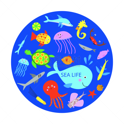 矢量,可爱的,海洋生命,动物,痕迹,热带气候,野生动物,绿蠵龟,龟,海豚