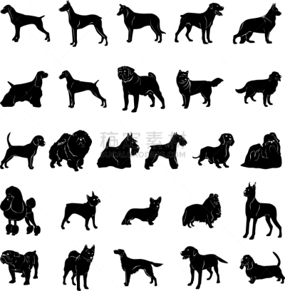 狗,舞台,分离着色,宠物,自然,纯种犬,梗犬,收集,剪影,站