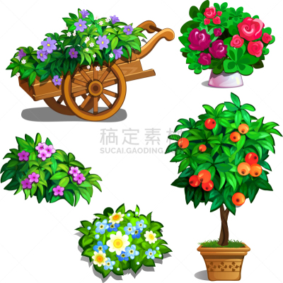 玫瑰,花束,桔树,清新,花瓶,花盆,锅,图像,花朵,花