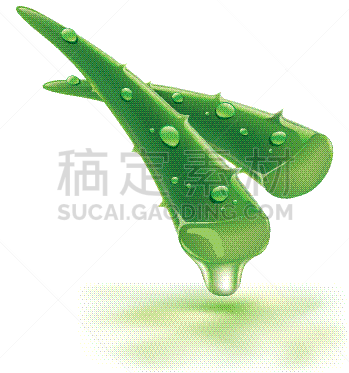 清新,芦荟,水滴,水,女人,白色,绿色,湿,皮肤病学,自然