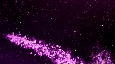樱花的花瓣