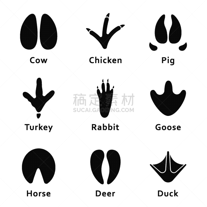 脚印,动物,爪印,反差,脉搏图,野生动物,猪,蹄,鸟类,布置