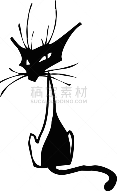 职权,猫,分离着色,可爱的,白色,宠物,自然,肖像,图像,哺乳纲