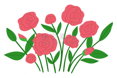 玫瑰,春天,夏天,绘画插图,草本,花束,矢量,华丽的,排列,花