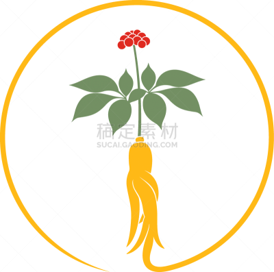 人参,品牌名称,分离着色,白色背景,生物学,清新,菜园,背景分离,滴瓶,营养品