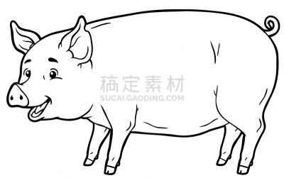 猪,线条画,卡通,轮廓,晚餐,牲畜,白色背景,熏猪肉,早餐,午餐