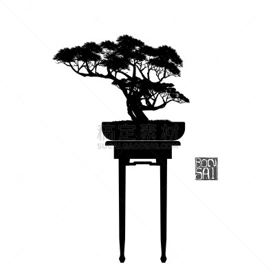盆景,传统,复叶,蔬菜,自然美,树,剪影